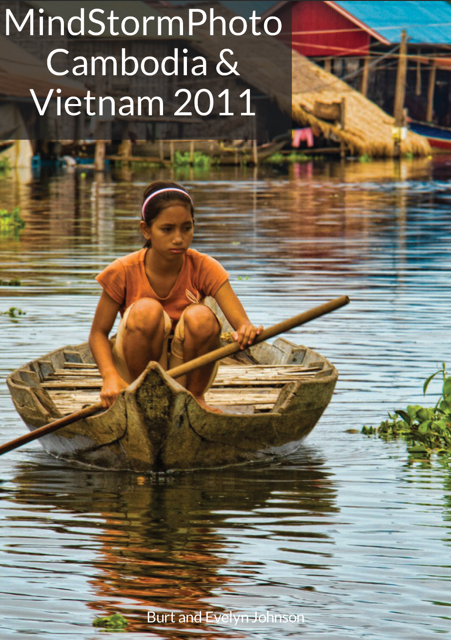 2011 Vietnam